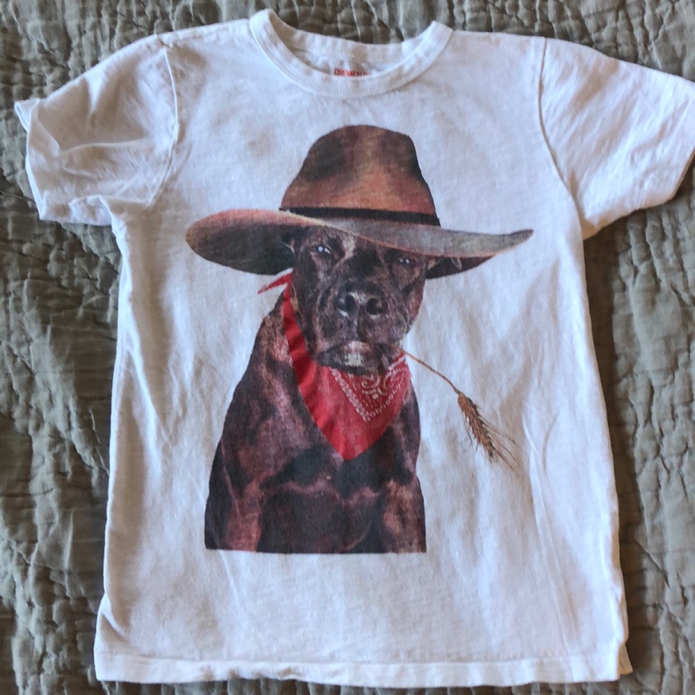 JCrew Crewcuts boys tee